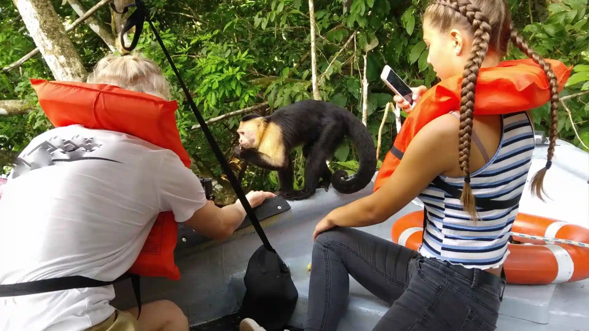 gpbt-monkey-island-top-2